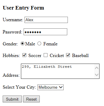 user entry form
