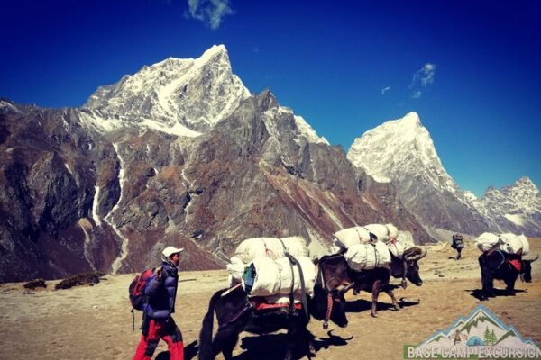 Everest Base Camp