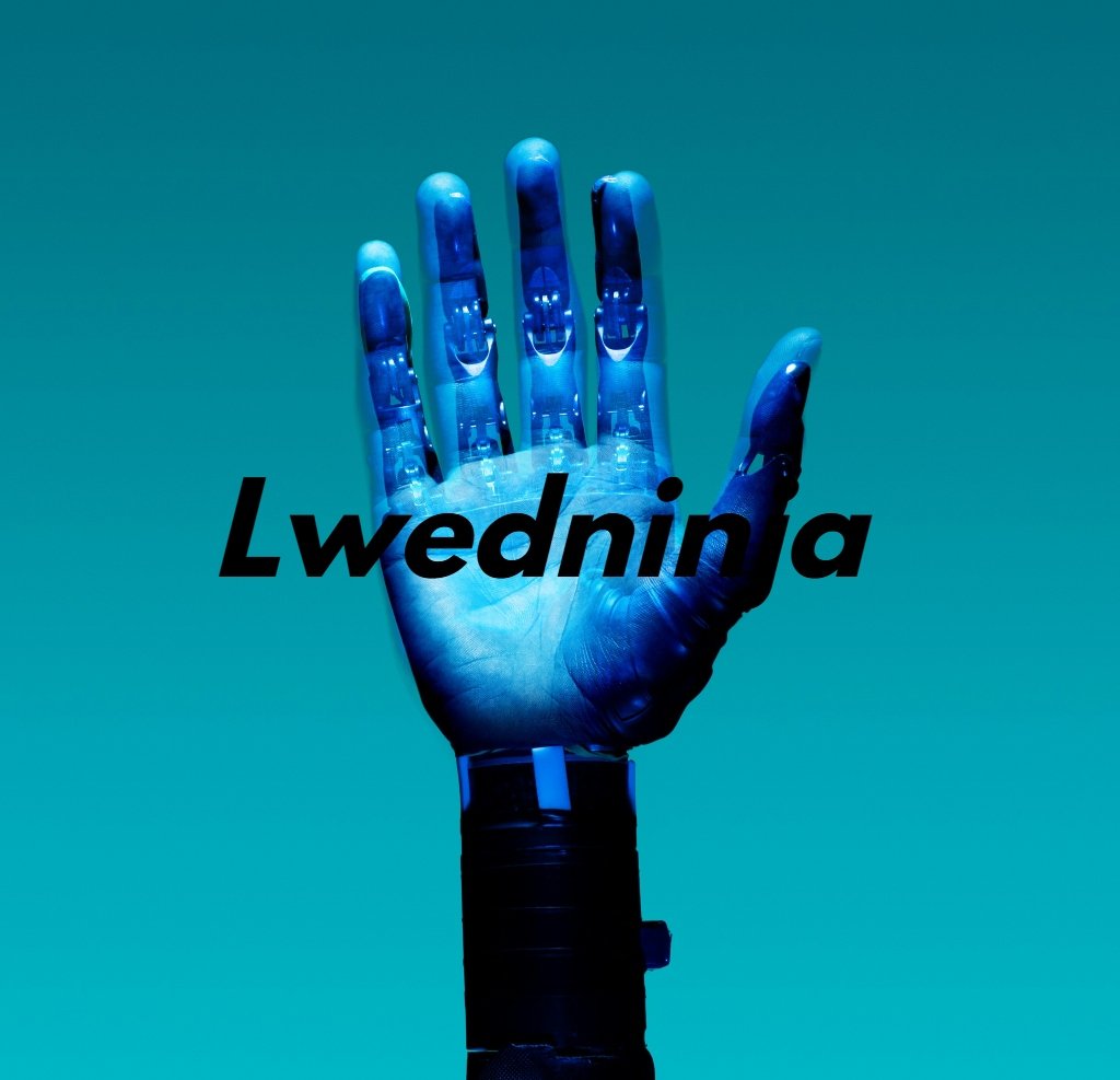 Lwedninja How It’s Reshaping Industries & What’s Next