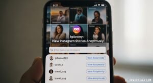 IgAnony tool interface showing anonymous Instagram story viewing and download feature